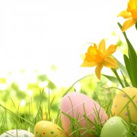 Colorful easter eggs nestled in tall grass and yellow flowers