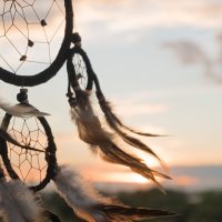 Dream Catcher