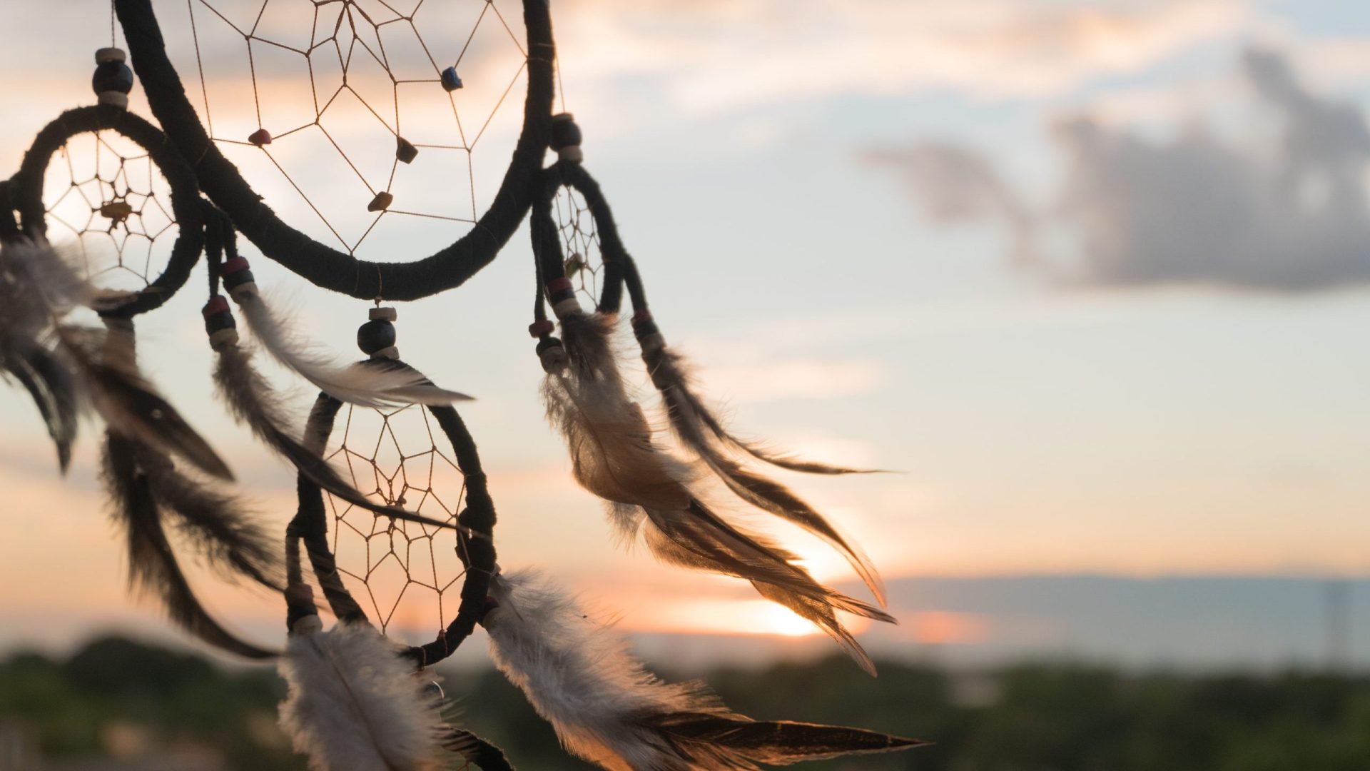 Dream Catcher