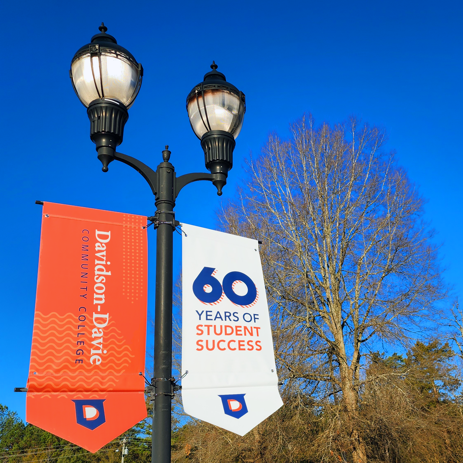 Davidson-Davie Banners on Light Post