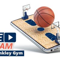 A smartphone screen displaying a mini basketball court with a large basketball and hoops. Text and logos are beside it.