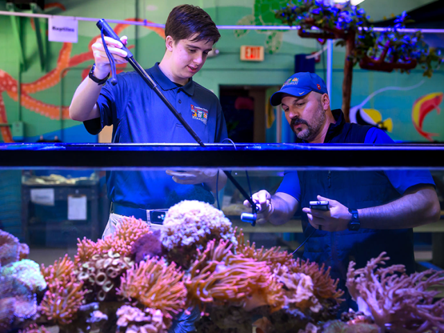 Two people in blue uniforms work with equipment in a coral-filled aquarium tank.