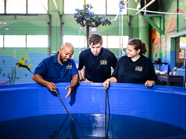 Three people examining a large blue water tank indoors, with aquatic-themed murals in the background.