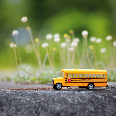 Yellow,School,Bus,Toy,Model,On,Country,Road. A toy yellow school bus on a concrete surface with blurred wildflowers in the background.